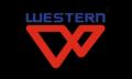 Western® Steel Almirahs